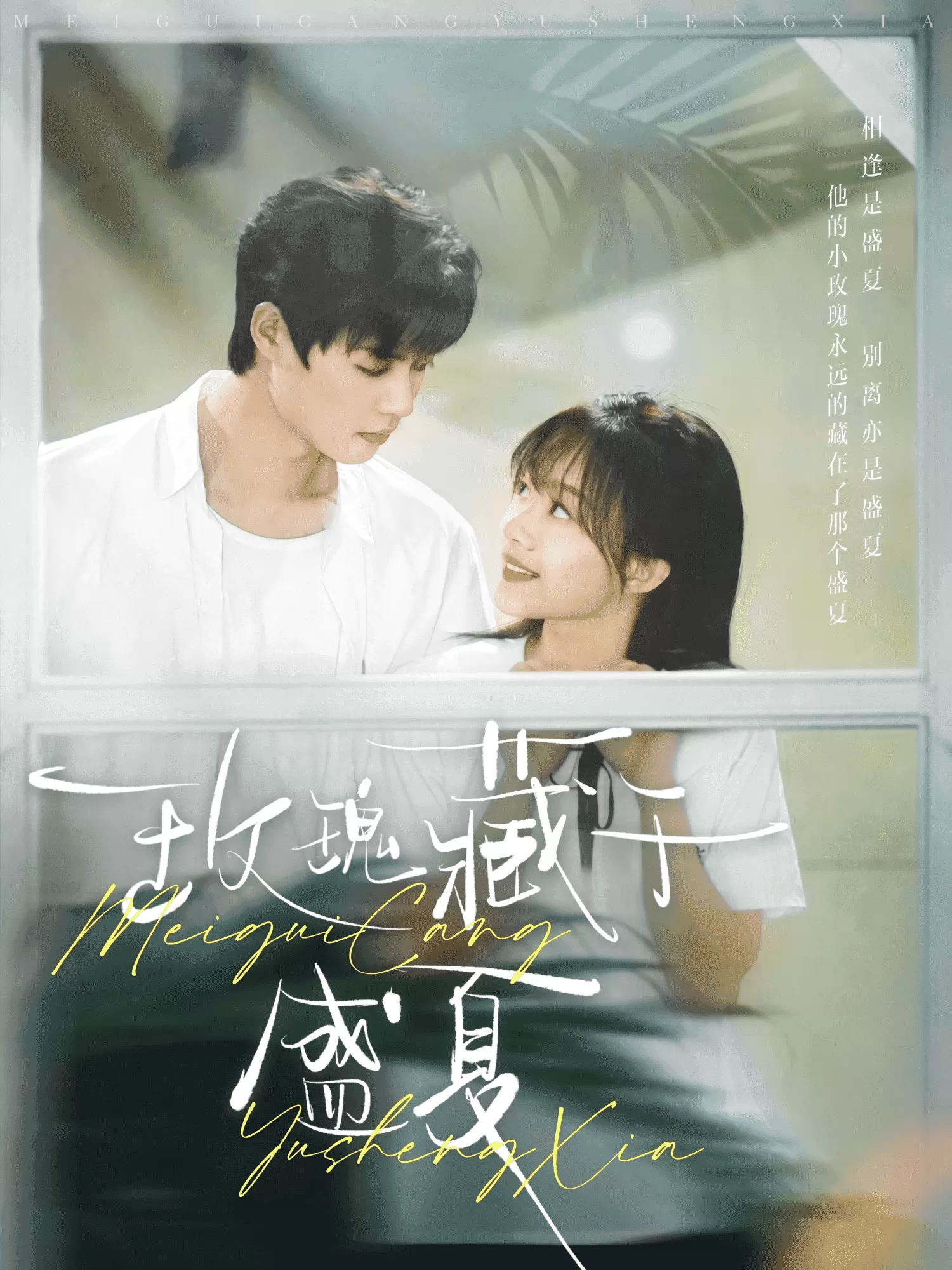 玫瑰藏于盛夏